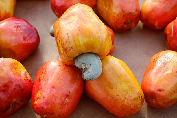 Cashew Nuts