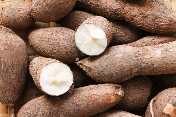 Cassava Tubers